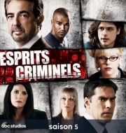 Esprits criminels, Saison 5 (VF) à télécharger 
