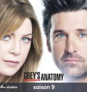 Grey's Anatomy, Saison 9 (VF) à télécharger 