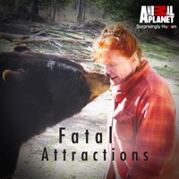 Fatal Attractions, Season 2 à télécharger 