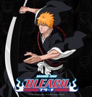 Bleach (English) Pt. 1 à télécharger 