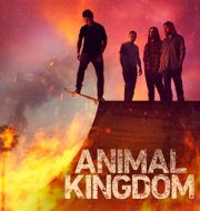 Animal Kingdom, Season 6 à télécharger 