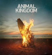 Animal Kingdom, Seasons 1-6 à télécharger 