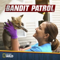 Bandit Patrol, Season 3 à télécharger 