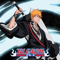 Bleach (English) Pt. 13 à télécharger 