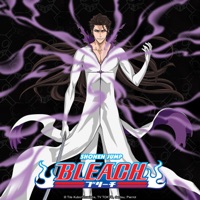 Bleach (English) Pt. 11 à télécharger 