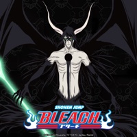 Bleach (English) Pt. 10 à télécharger 