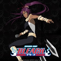Bleach (English) Pt. 7 à télécharger 