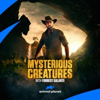 Mysterious Creatures with Forrest Galante, Season 1 à télécharger 
