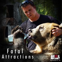 Fatal Attractions, Season 3 à télécharger 