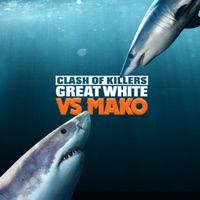 Clash of Killers: Great White vs Mako, Season 1 à télécharger 