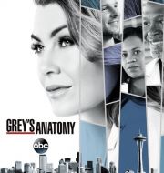 Grey's Anatomy, Season 14 à télécharger 