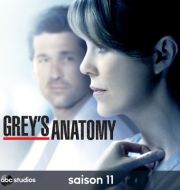 Grey's Anatomy, Saison 11 (VF) à télécharger 