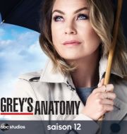 Grey's Anatomy, Saison 12 (VF) à télécharger 