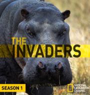 The Invaders, Season 1 à télécharger 