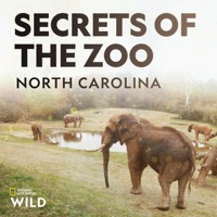 Secrets of the Zoo: North Carolina, Season 1 à télécharger 