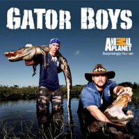 Gator Boys, Season 1 à télécharger 