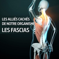 Les fascias, alliés cachés de notre organisme à télécharger 