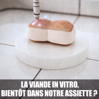La viande in vitro - Bientôt dans notre assiette ? à télécharger 