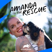Amanda to the Rescue, Season 2 à télécharger 