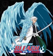 Bleach (English) Pt. 3 à télécharger 