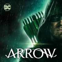 Arrow, l'intégrale (VF) à télécharger 