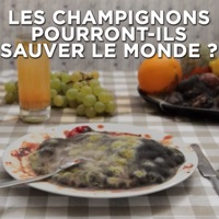 Les champignons pourront-ils sauver le monde ? à télécharger 