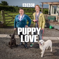 Puppy Love, Season 1 à télécharger 