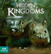 Mini Monsters aka Hidden Kingdoms à télécharger 