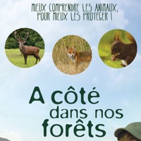A côté dans nos forêts à télécharger 