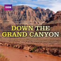Down the Grand Canyon à télécharger 
