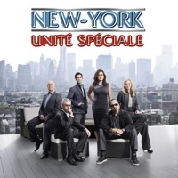 New York Unité Spéciale, Saison 14 à télécharger 