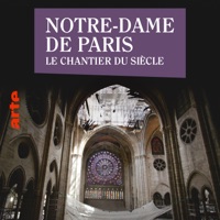 Notre-Dame de Paris - Le chantier du siècle à télécharger 