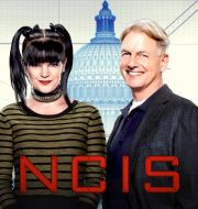 NCIS, Saison 14 (VF) à télécharger 