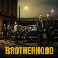 Brotherhood, Saison 3 à télécharger 