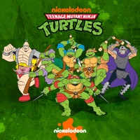 Teenage Mutant Ninja Turtles (1987), Season 9 à télécharger 