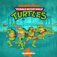 Teenage Mutant Ninja Turtles (1987), Season 6 à télécharger 