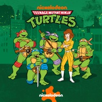 Teenage Mutant Ninja Turtles (1987), Season 5 à télécharger 