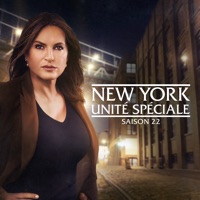 New York Unité Spéciale, Saison 22 (VF) à télécharger 