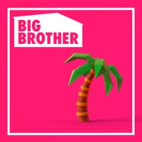 Big Brother, Season 19 à télécharger 