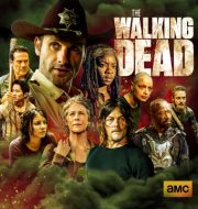 The Walking Dead, Complete Series Boxset à télécharger 