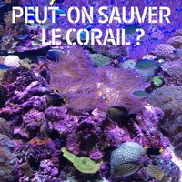 Peut-on sauver le corail ? à télécharger 