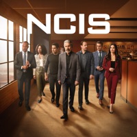NCIS, Saison 21 (VF) à télécharger 