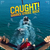 Caught! Sharks Strike Back, Season 1 à télécharger 