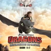 Dragons: Défenseurs de Beurk, Saison 1 & 2 (VF) à télécharger 