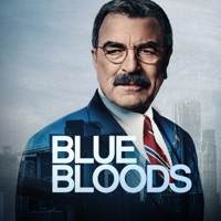 Blue Bloods, Saison 14 à télécharger 