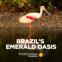 Brazil's Emerald Oasis à télécharger 