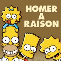 Les Simpson: Homer a Raison à télécharger 