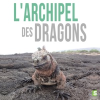 L'archipel des dragons à télécharger 