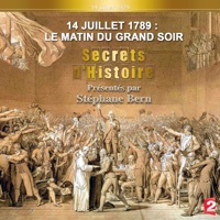 Secrets d'histoire : 14 juillet 1789, le matin du grand soir à télécharger 
