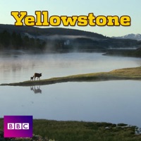 Yellowstone, Series 1 à télécharger 